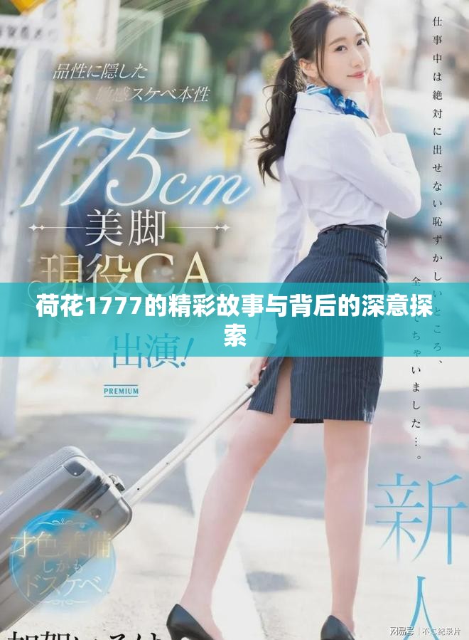 荷花1777的精彩故事与背后的深意探索