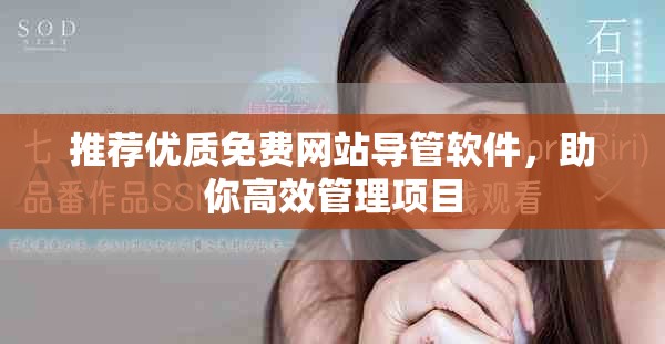 推荐优质免费网站导管软件，助你高效管理项目