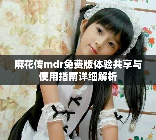 麻花传mdr免费版体验共享与使用指南详细解析