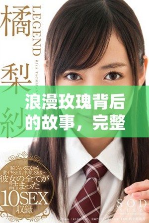 浪漫玫瑰背后的故事，完整版免费在线观看与解读