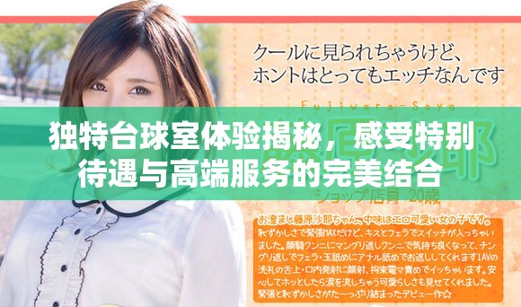独特台球室体验揭秘，感受特别待遇与高端服务的完美结合