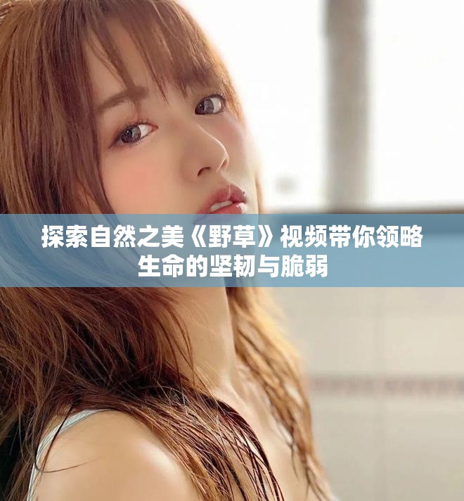 探索自然之美《野草》视频带你领略生命的坚韧与脆弱