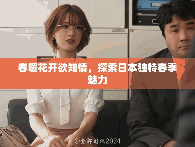 春暖花开欲知情，探索日本独特春季魅力