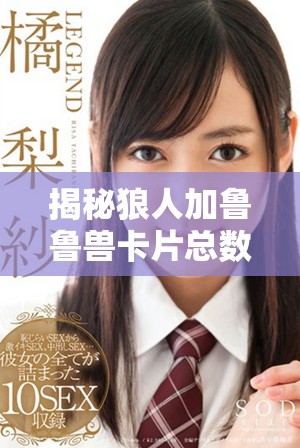 揭秘狼人加鲁鲁兽卡片总数及其收藏价值