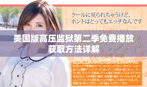 美国版高压监狱第二季免费播放获取方法详解