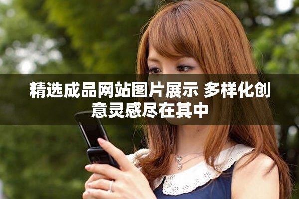精选成品网站图片展示 多样化创意灵感尽在其中