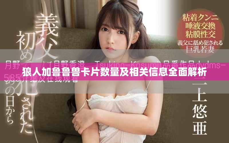 狼人加鲁鲁兽卡片数量及相关信息全面解析