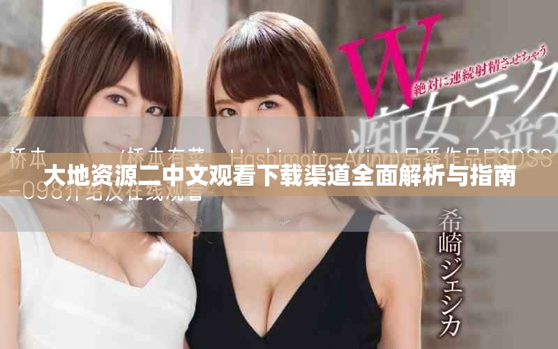 大地资源二中文观看下载渠道全面解析与指南
