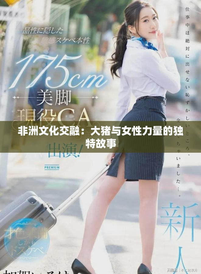 非洲文化交融：大猪与女性力量的独特故事