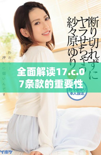 全面解读17.c.07条款的重要性及其影响分析