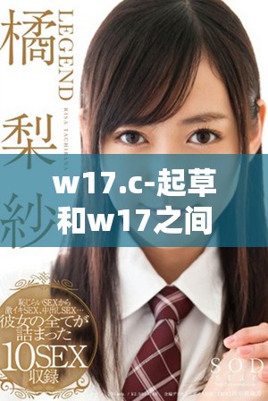 w17.c-起草和w17之间的区别解析与比较分析