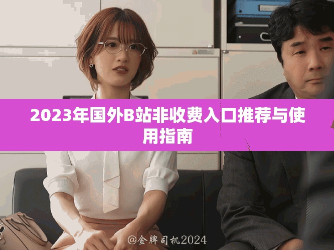 2023年国外B站非收费入口推荐与使用指南