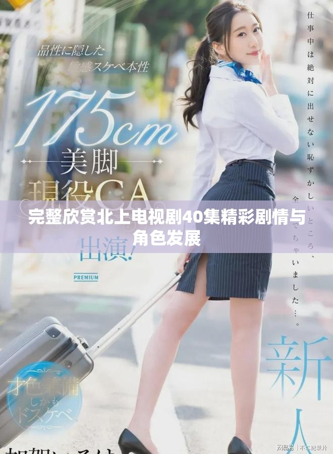 完整欣赏北上电视剧40集精彩剧情与角色发展