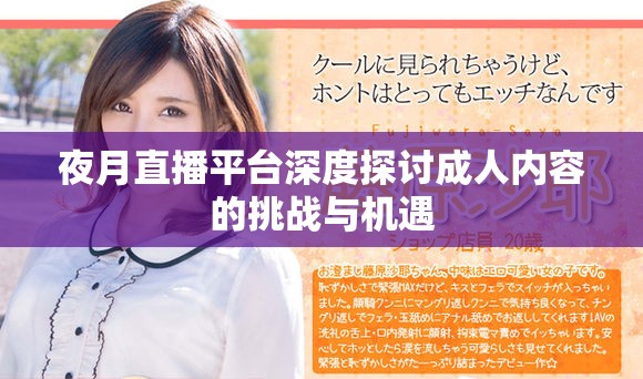 夜月直播平台深度探讨成人内容的挑战与机遇