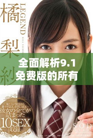 全面解析9.1免费版的所有新功能与改进亮点