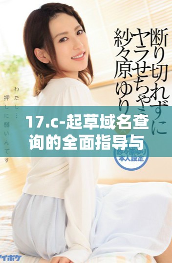 17.c-起草域名查询的全面指导与实用技巧分享