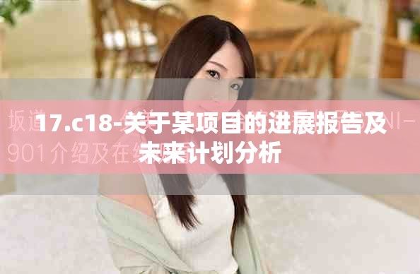 17.c18-关于某项目的进展报告及未来计划分析
