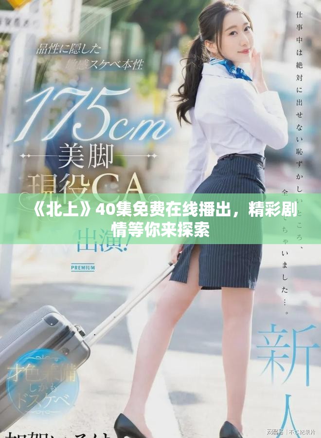《北上》40集免费在线播出，精彩剧情等你来探索