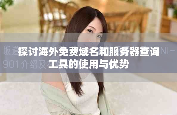 探讨海外免费域名和服务器查询工具的使用与优势