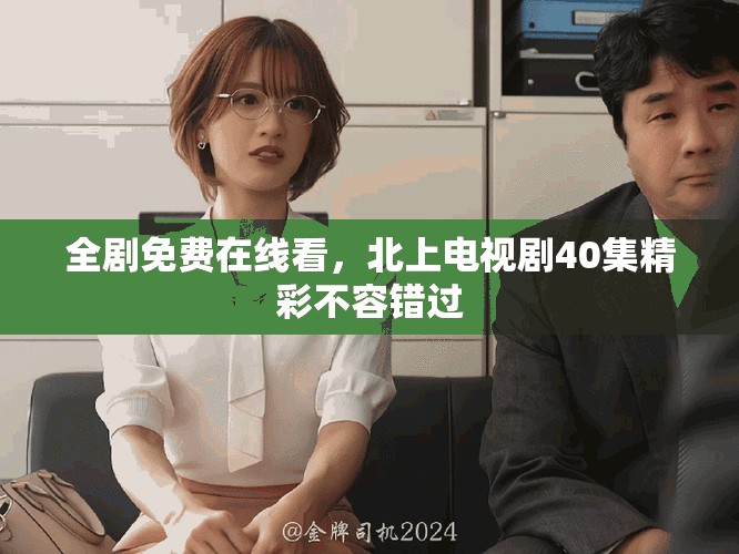 全剧免费在线看，北上电视剧40集精彩不容错过