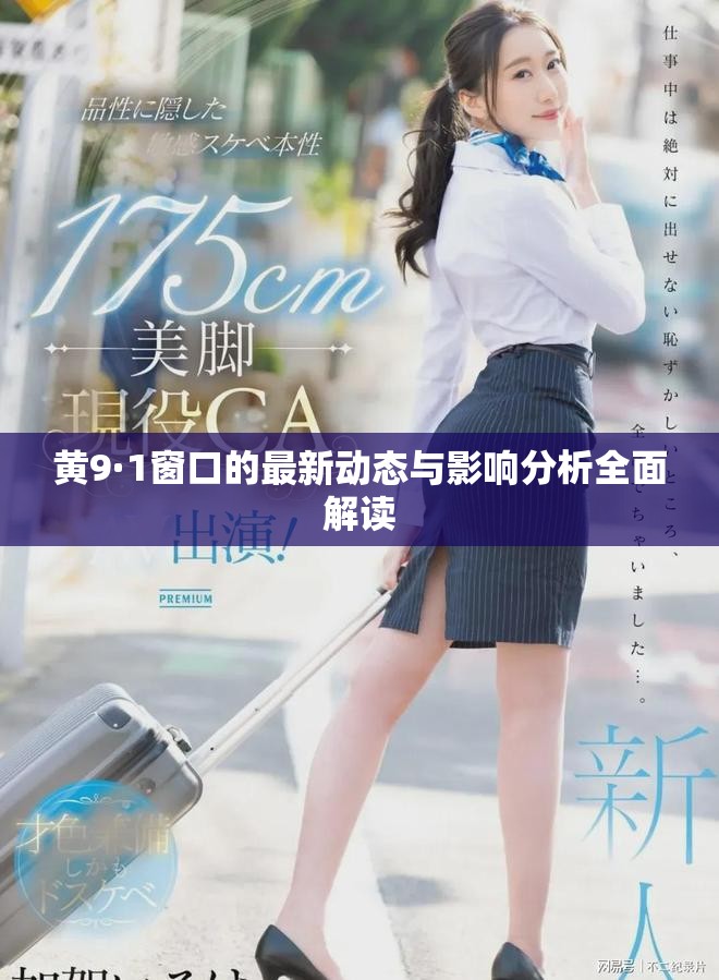 黄9·1窗口的最新动态与影响分析全面解读