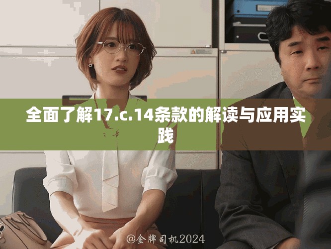全面了解17.c.14条款的解读与应用实践