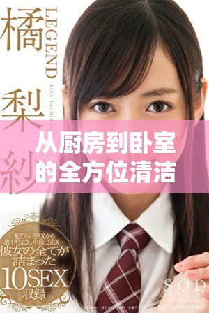 从厨房到卧室的全方位清洁，打造无缝衔接的整洁家居空间