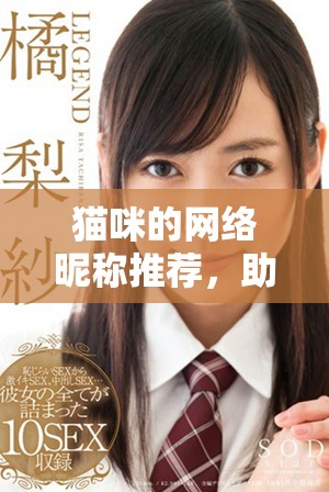 猫咪的网络昵称推荐，助你轻松选择独特地域风格名字