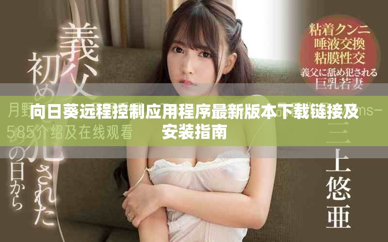 向日葵远程控制应用程序最新版本下载链接及安装指南