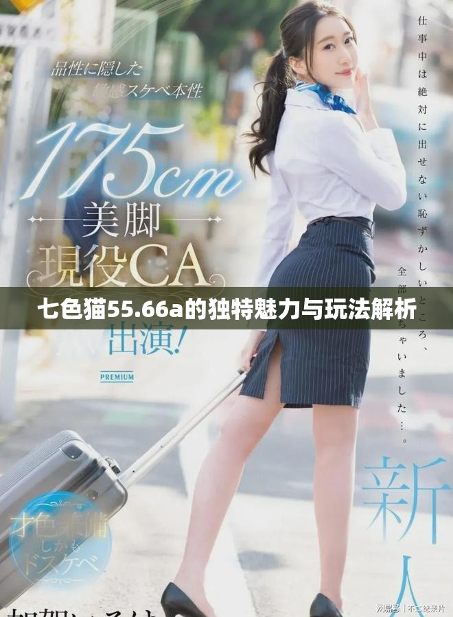 七色猫55.66a的独特魅力与玩法解析