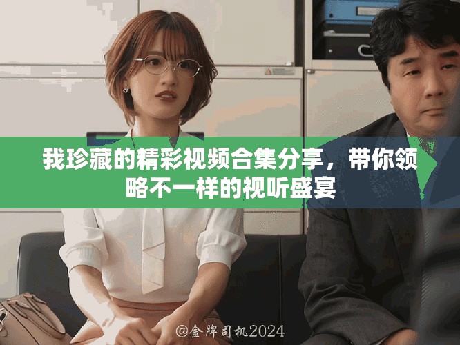 我珍藏的精彩视频合集分享，带你领略不一样的视听盛宴