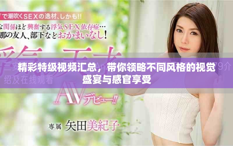 精彩特级视频汇总，带你领略不同风格的视觉盛宴与感官享受