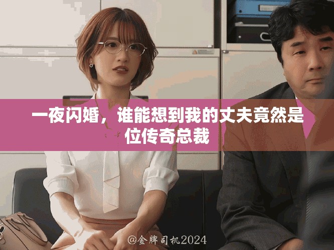 一夜闪婚，谁能想到我的丈夫竟然是位传奇总裁