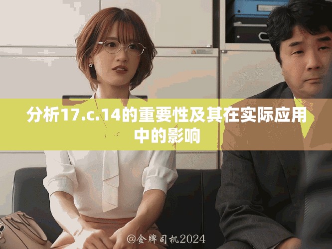 分析17.c.14的重要性及其在实际应用中的影响