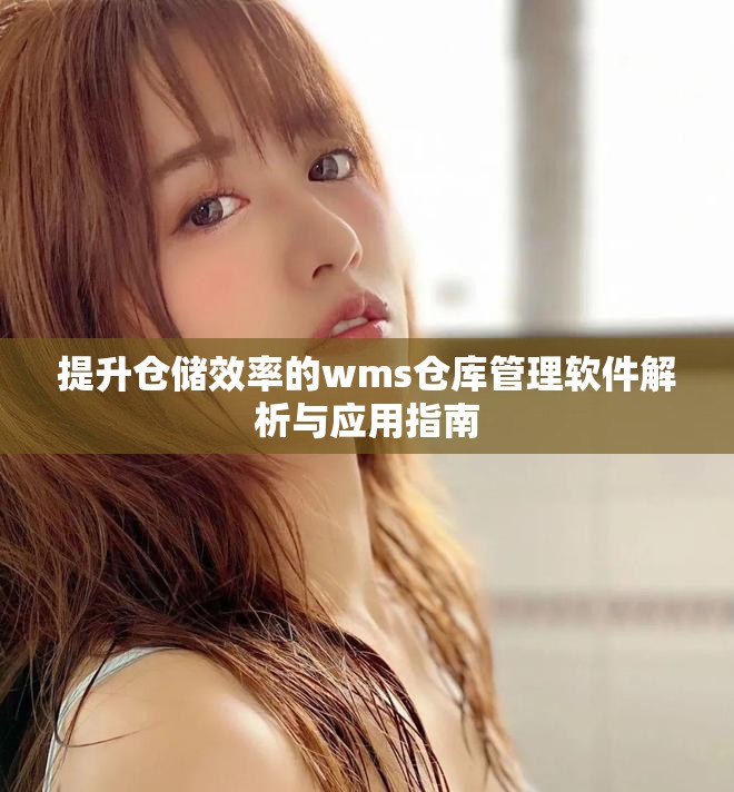提升仓储效率的wms仓库管理软件解析与应用指南