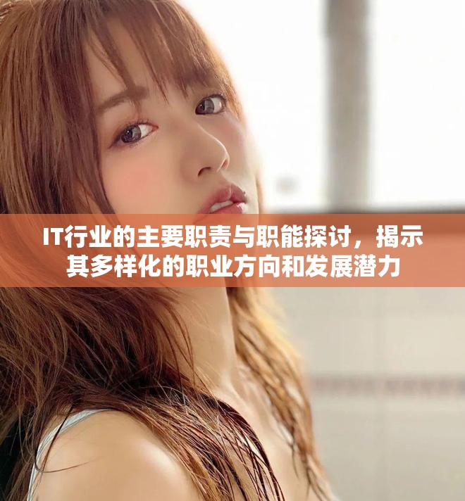 IT行业的主要职责与职能探讨，揭示其多样化的职业方向和发展潜力