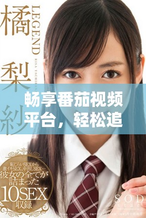 畅享番茄视频平台，轻松追剧不再烦恼的全新体验