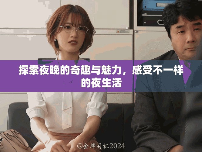 探索夜晚的奇趣与魅力，感受不一样的夜生活