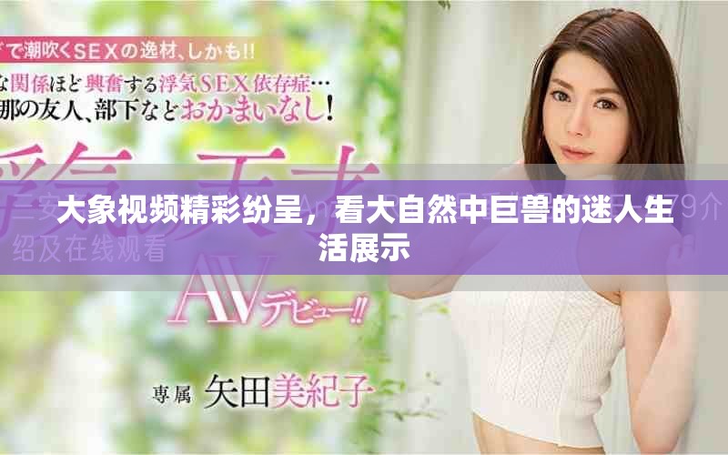 大象视频精彩纷呈，看大自然中巨兽的迷人生活展示