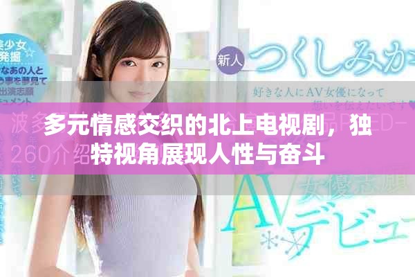 多元情感交织的北上电视剧，独特视角展现人性与奋斗