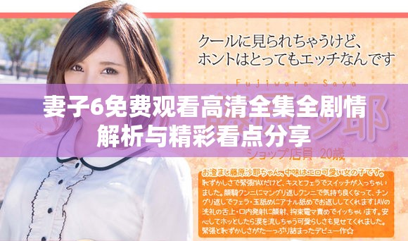 妻子6免费观看高清全集全剧情解析与精彩看点分享