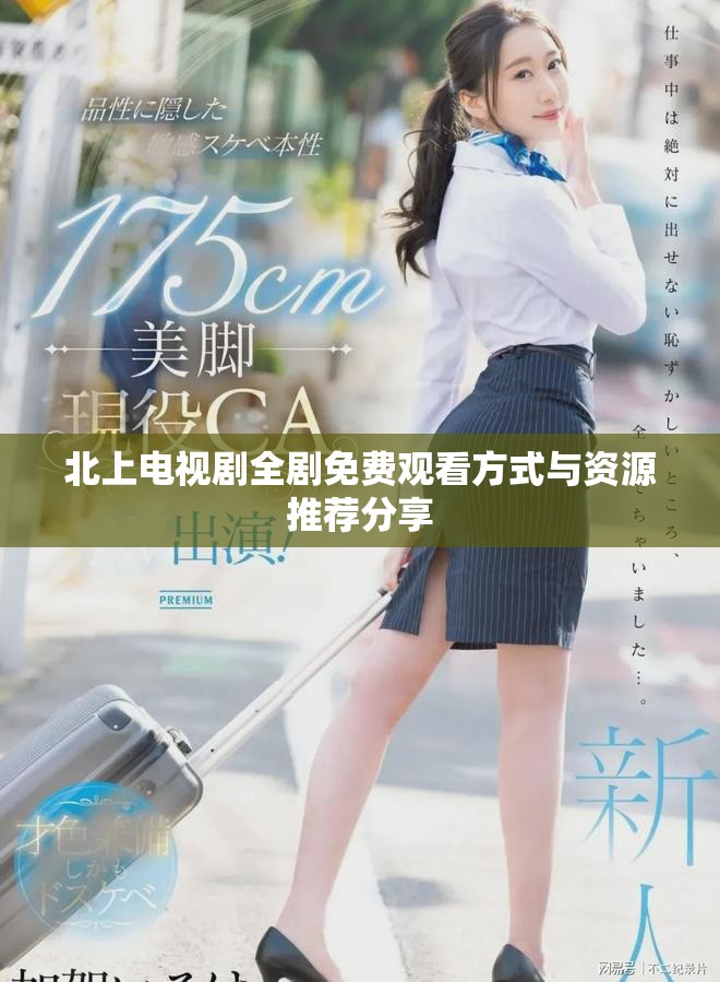 北上电视剧全剧免费观看方式与资源推荐分享