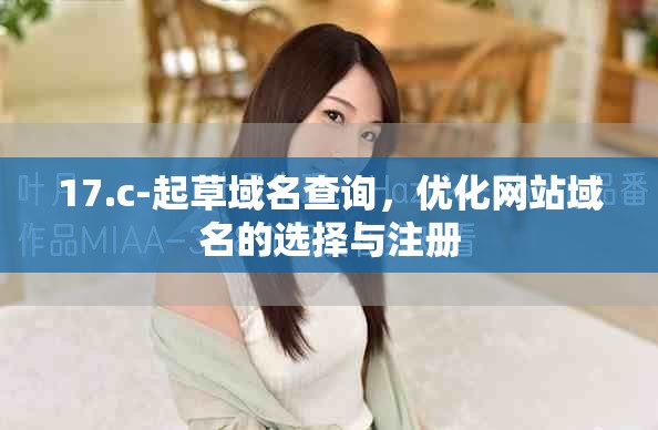 17.c-起草域名查询，优化网站域名的选择与注册