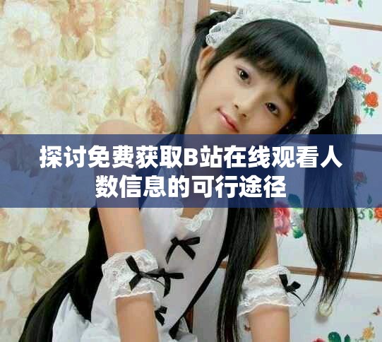探讨免费获取B站在线观看人数信息的可行途径