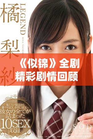《似锦》全剧精彩剧情回顾与观看指南，尽在这里！