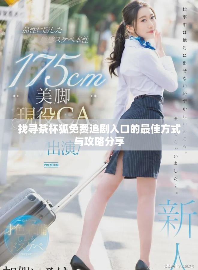 找寻茶杯狐免费追剧入口的最佳方式与攻略分享