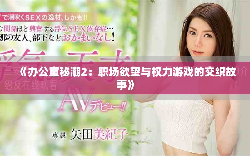 《办公室秘潮2：职场欲望与权力游戏的交织故事》