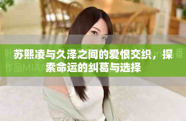 苏熙凌与久泽之间的爱恨交织，探索命运的纠葛与选择
