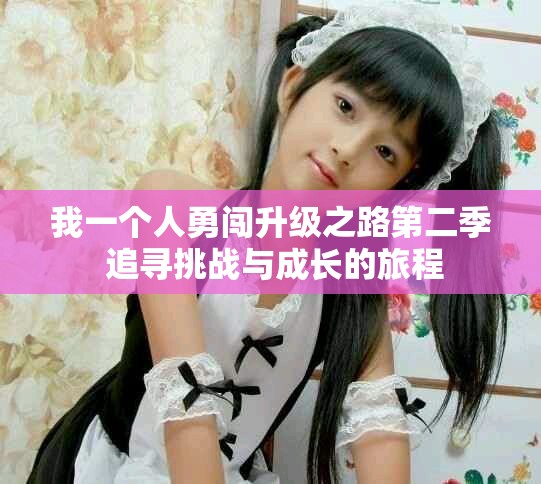我一个人勇闯升级之路第二季 追寻挑战与成长的旅程