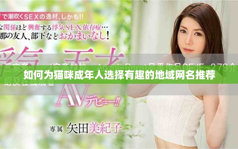 如何为猫咪成年人选择有趣的地域网名推荐